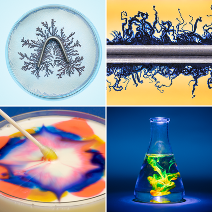 Back-to-School Science Bundle — 25 Hands-on Kits (with online lessons library)